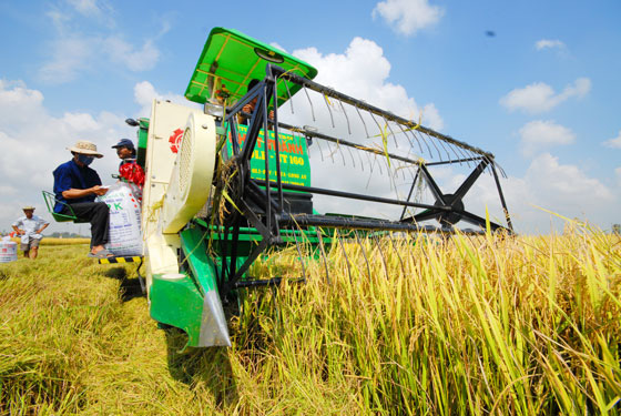 Phải sớm có thương hiệu nông sản Việt