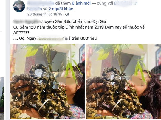 Quốc bảo S&acirc;m Ngọc Linh th&agrave;nh h&agrave;ng chợ, b&aacute;n đầy tr&ecirc;n mạng x&atilde; hội  - Ảnh 2.