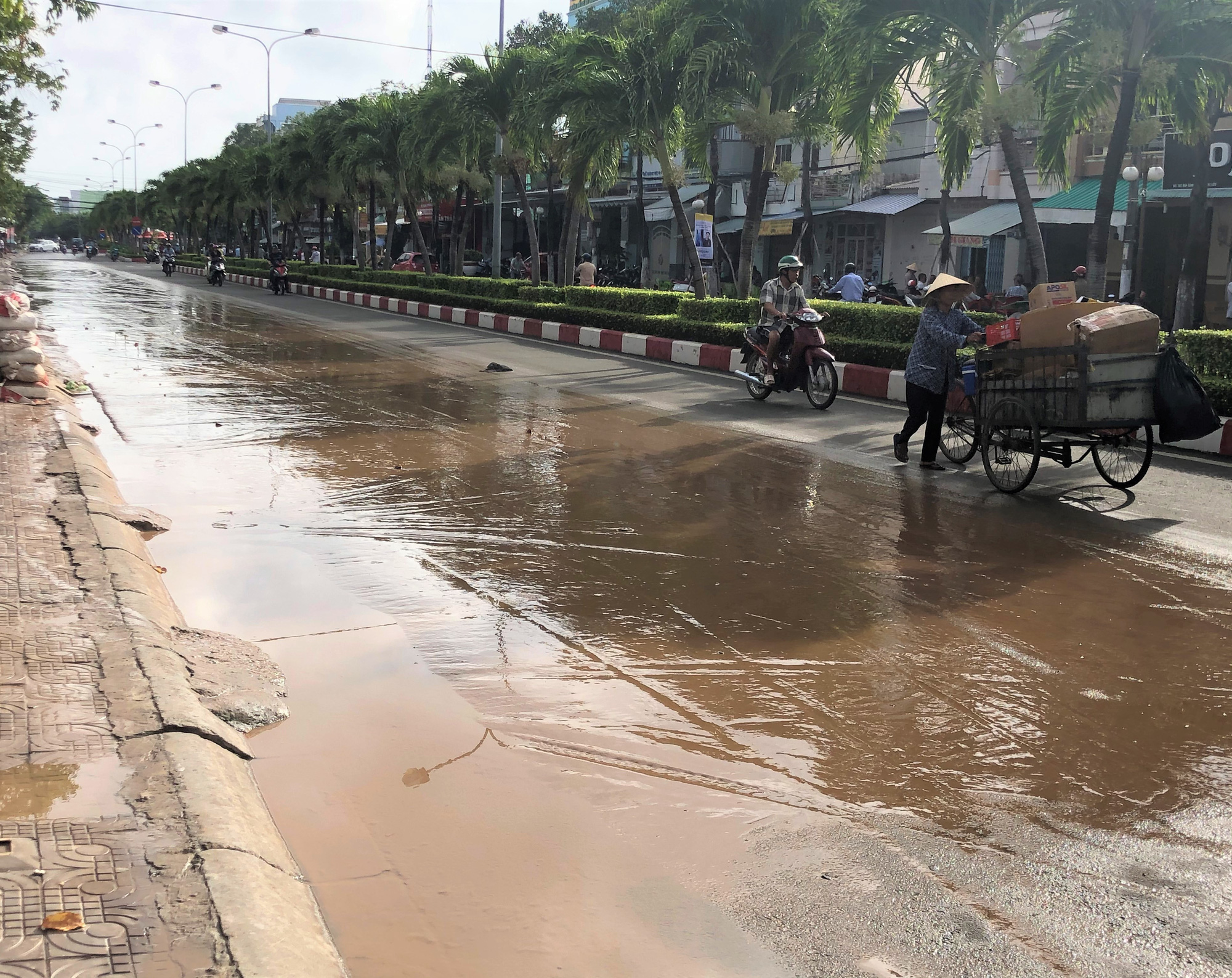 Bùn nhão bất ngờ xuất hiện dày đặc ở TP Bạc Liêu sau khi triều cường rút - Ảnh 7.