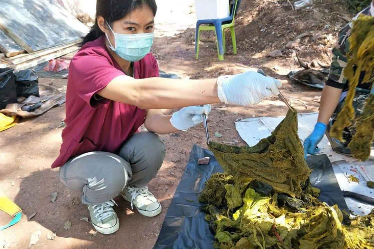Mổ xác nai già, thấy 7 kg rác nhựa và... đồ lót