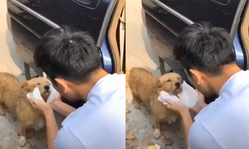 Cao Dĩ Tường - mỹ nam ấm áp, yêu đời - Ảnh 3.