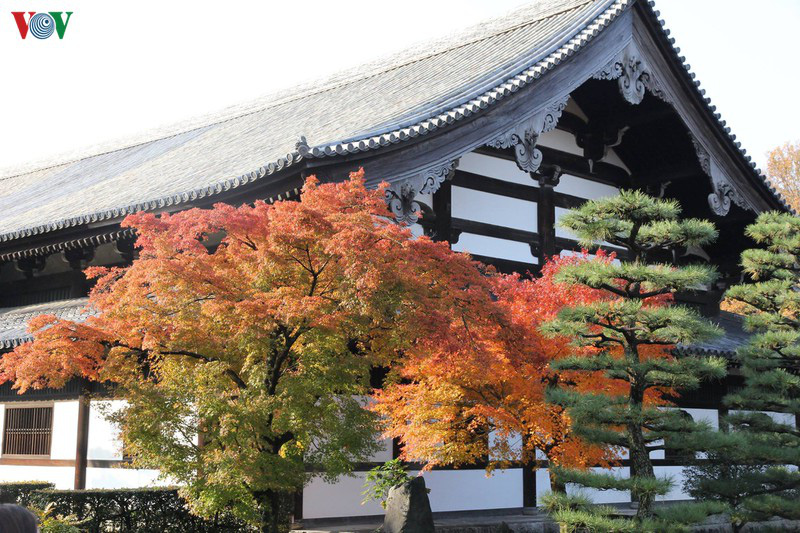 Tới ngôi chùa ngắm lá đỏ đẹp nhất Kyoto