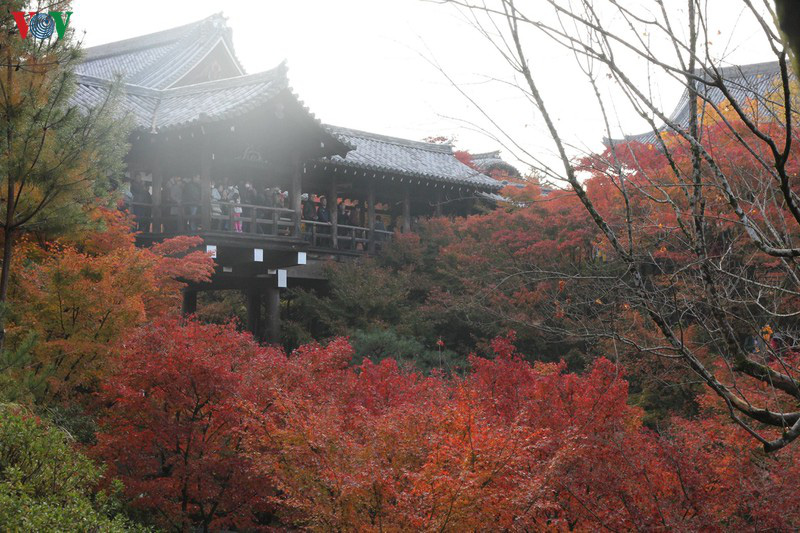Tới ngôi chùa ngắm lá đỏ đẹp nhất Kyoto - Ảnh 6.