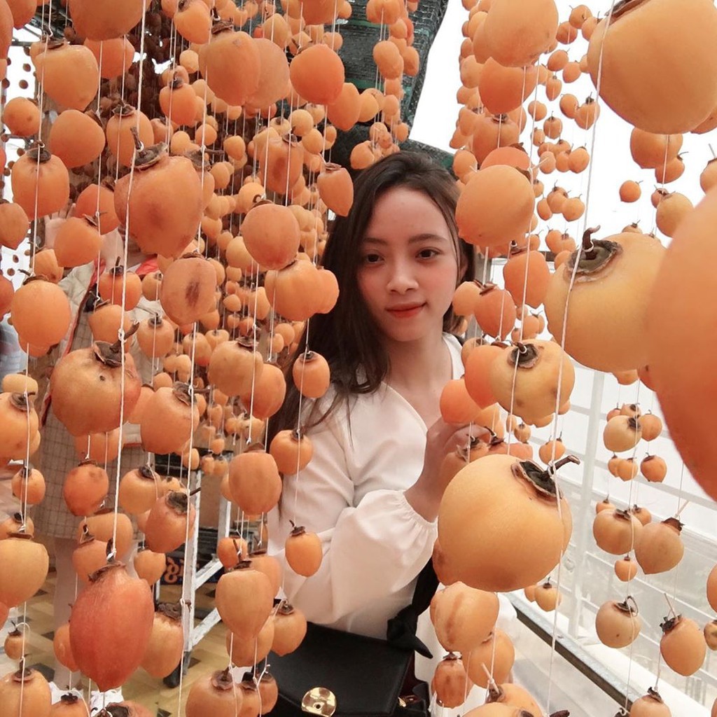 Vườn hồng Đà Lạt vào mùa chín đỏ hút giới trẻ - Ảnh 5.