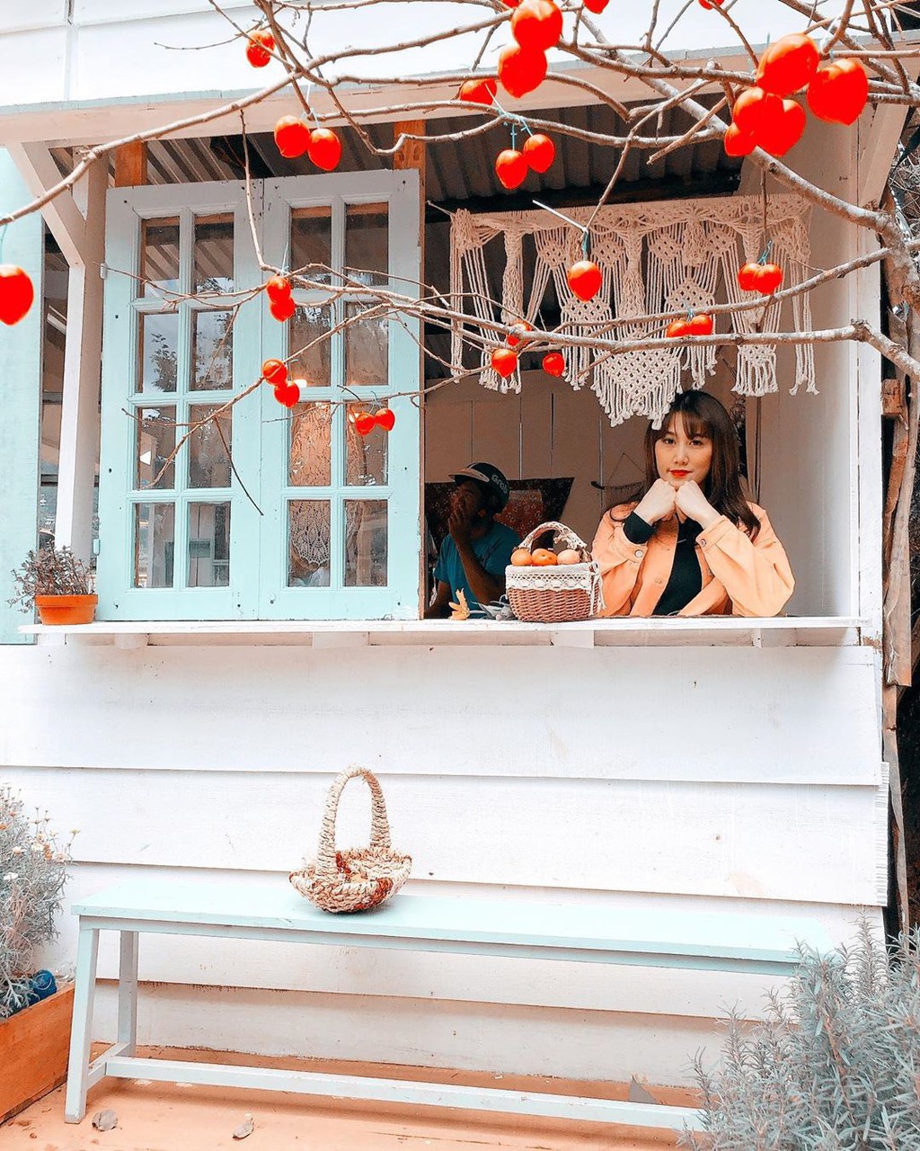 Vườn hồng Đà Lạt vào mùa chín đỏ hút giới trẻ - Ảnh 8.
