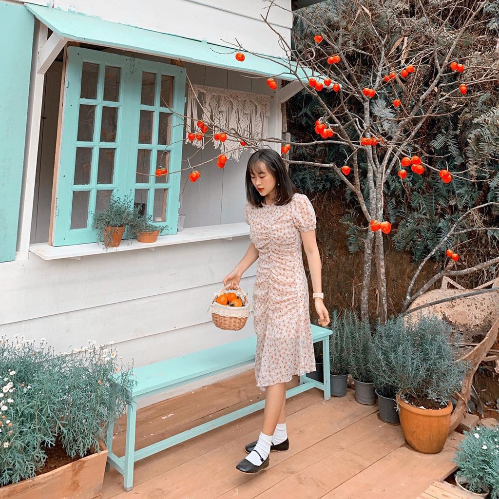 Vườn hồng Đà Lạt vào mùa chín đỏ hút giới trẻ - Ảnh 9.