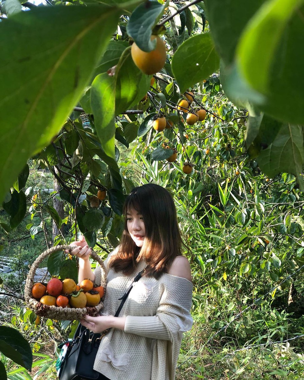 Vườn hồng Đà Lạt vào mùa chín đỏ hút giới trẻ - Ảnh 10.