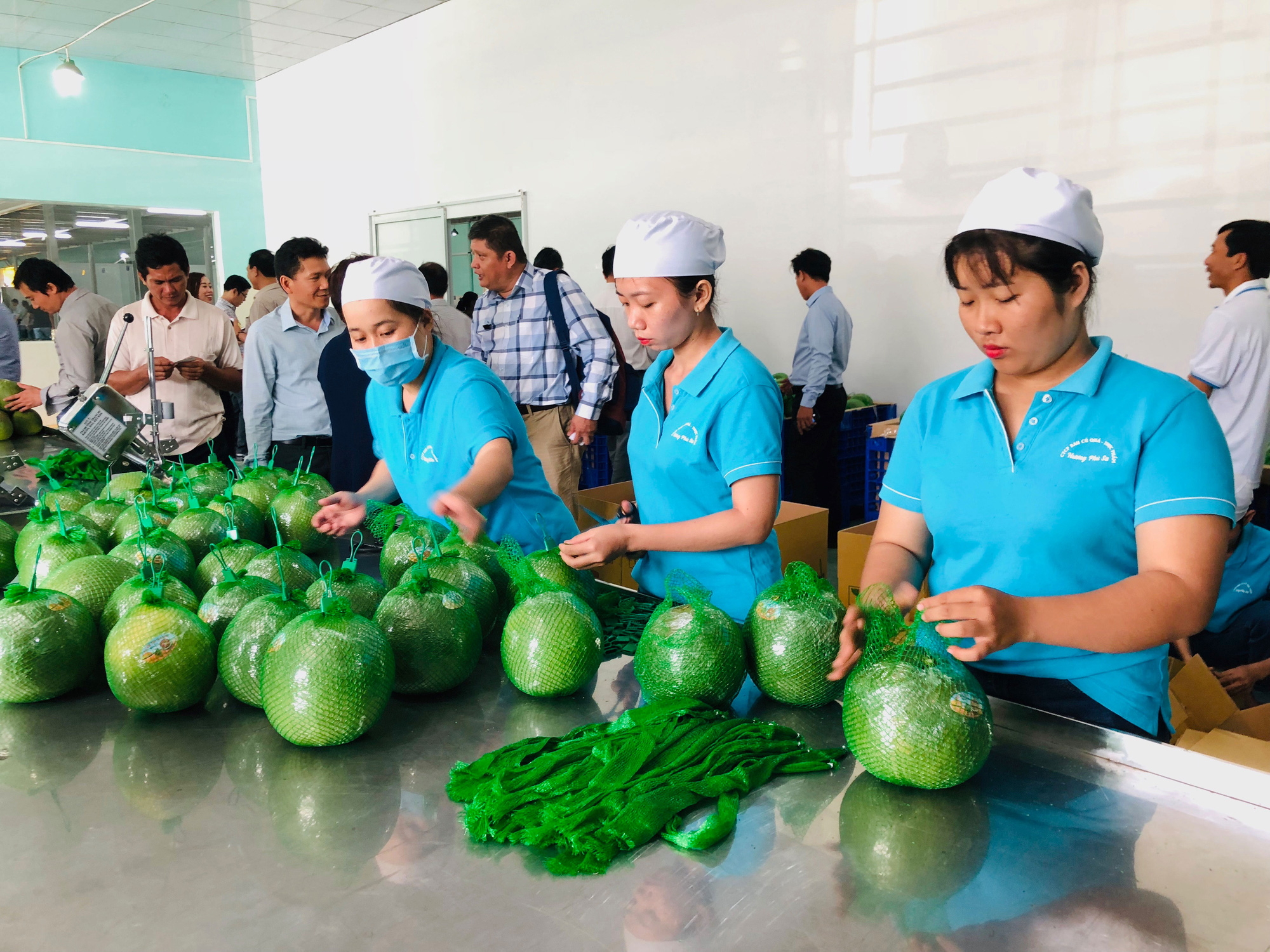 Đưa hàng Việt vào thị trường Thái