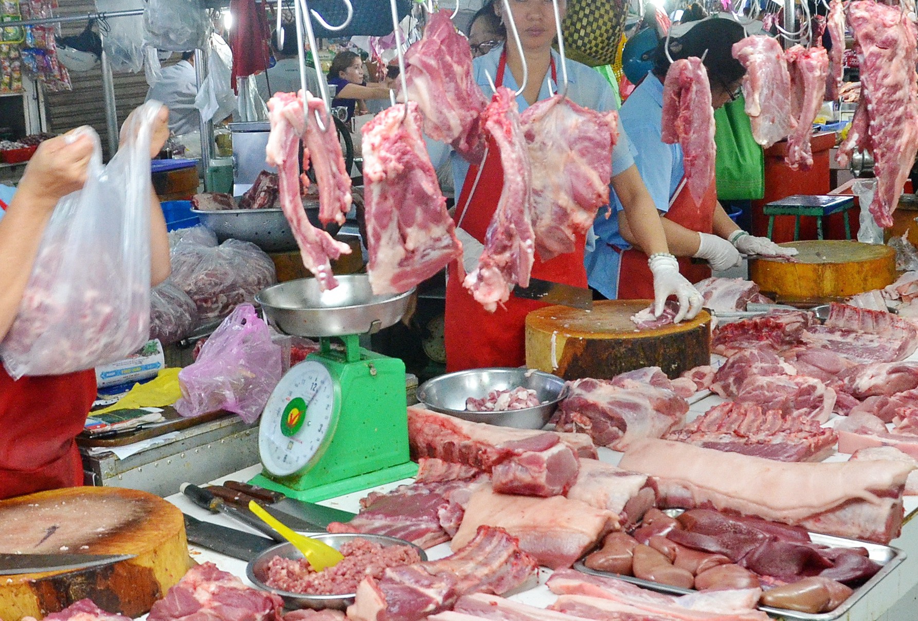 Giá thịt heo tăng chóng mặt, thương lái đua nhau gom heo bán ra Bắc?