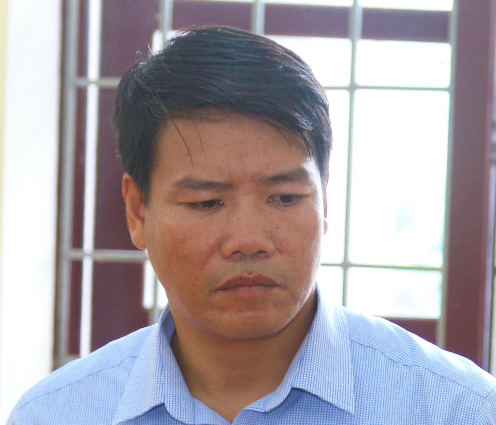 Vụ ph&aacute; rừng ở VQG Phong Nha - Kẻ B&agrave;ng: Bắt, khởi tố một trạm trưởng - Ảnh 1.