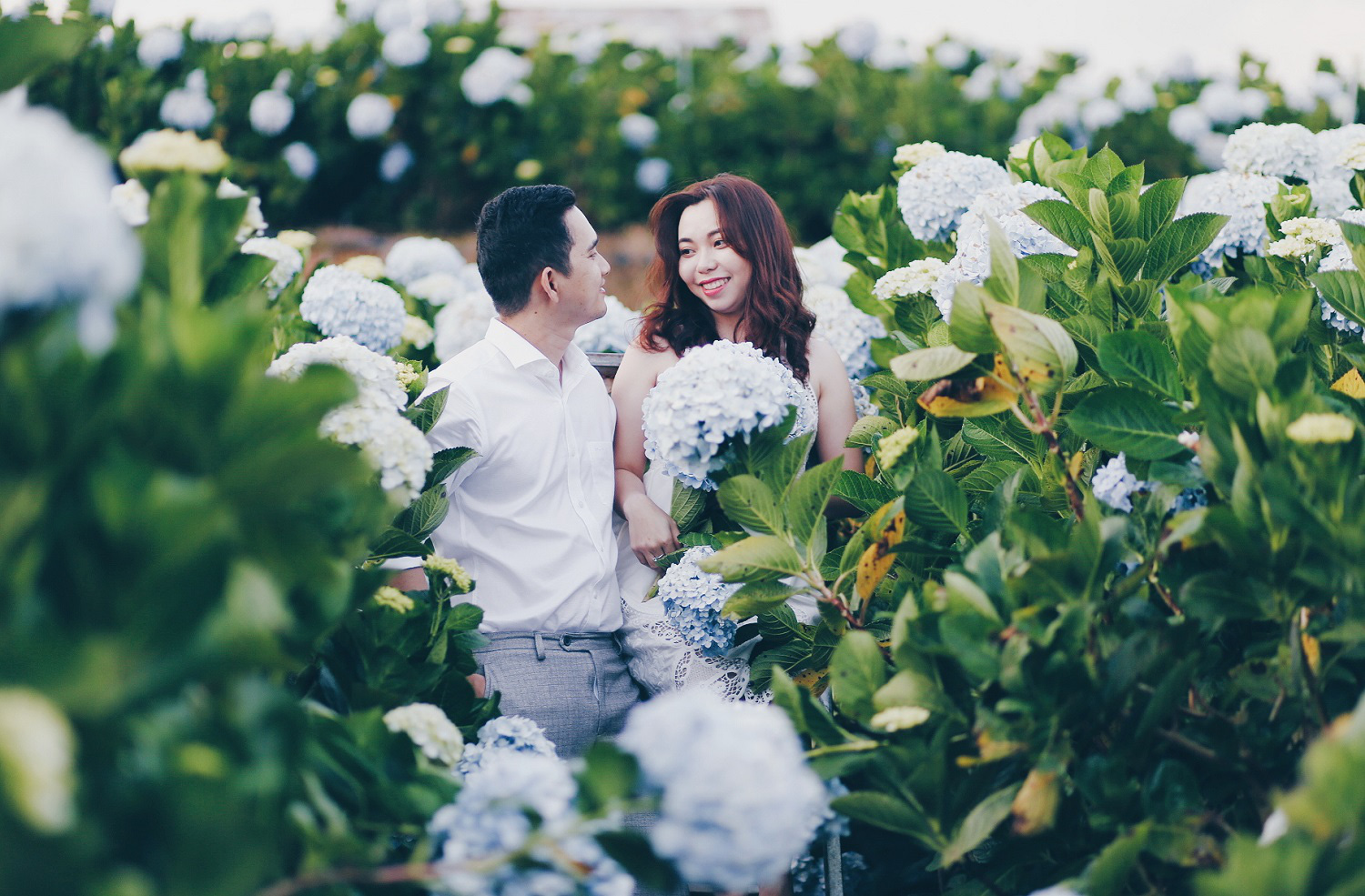 Đi Đ&agrave; Lạt, c&aacute;c cặp đ&ocirc;i kh&ocirc;ng thể bỏ qua những địa chỉ ngọt như mật - Ảnh 6.