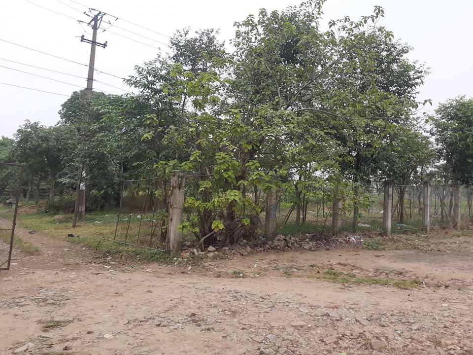 Cận cảnh khu “đất vàng” xây dựng trụ sở ngàn tỉ bỏ hoang của tỉnh nghèo Nghệ An - Ảnh 6.