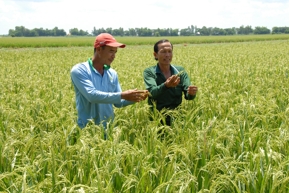 Hành động mới cho nông nghiệp, nông dân