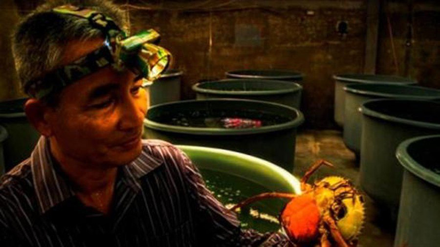Đại gia Sông Đốc lên tiếng vụ cửa sổ biệt thự nghi bị nã đạn