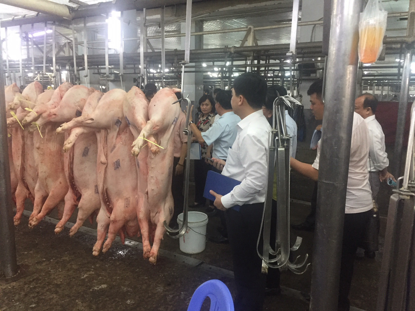 Gi&aacute; heo Tết c&oacute; thể sẽ rất cao - Ảnh 3.