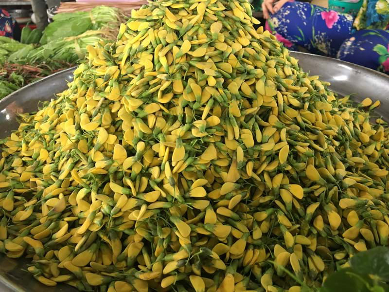 Ch&acirc;n nguy&ecirc;n qu&agrave; b&aacute;nh đất phương Nam - Ảnh 2.