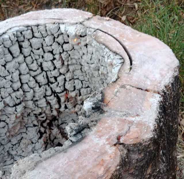 Kiểm l&acirc;m truy đổi bắt đối tượng cưa hạ gỗ qu&yacute; trong VQG Y&oacute;k Đ&ocirc;n - Ảnh 4.