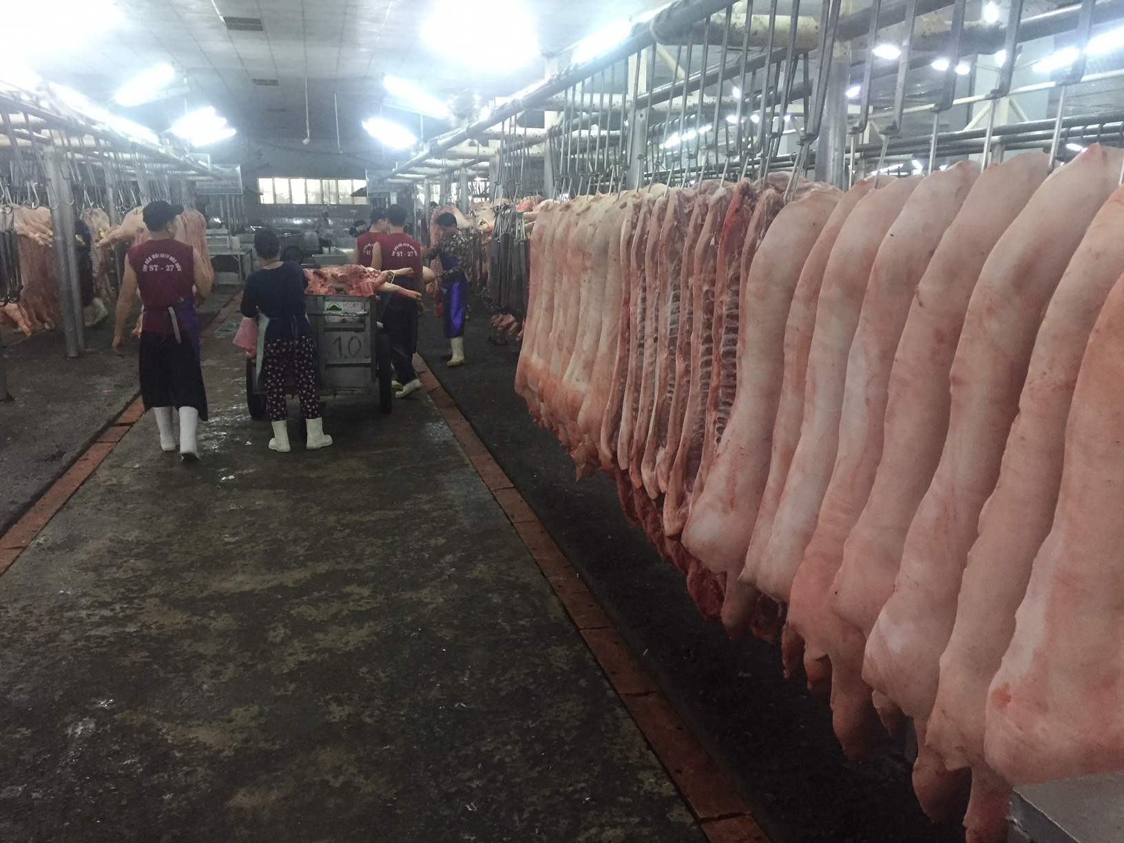 Thương lái đặt mua heo hơi 105.000 đồng/kg vào dịp Tết