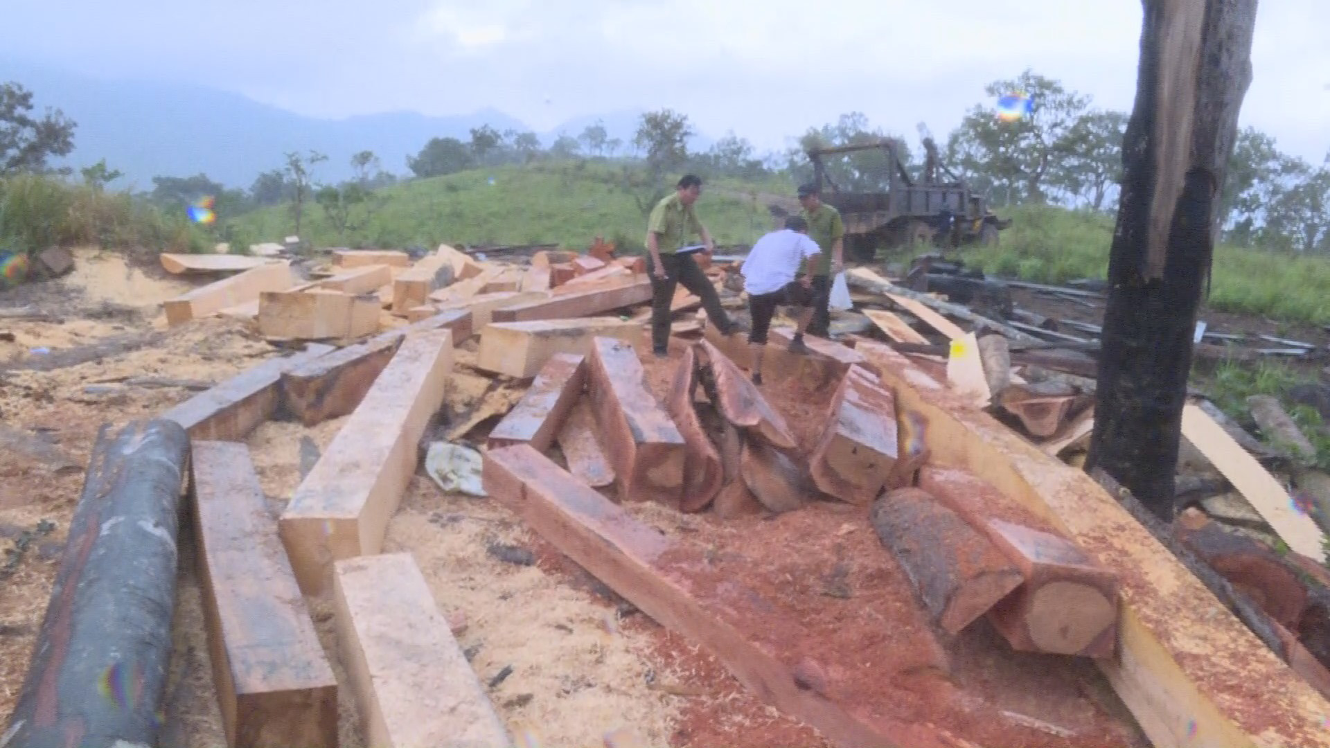 Khởi tố 10 đối tượng mở "công trường" khai thác gỗ lậu ở 2 tỉnh Đắk Lắk - Khánh Hòa