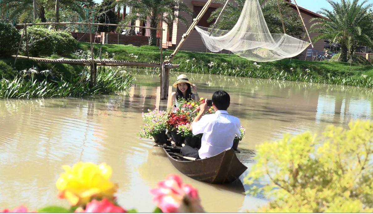 M&atilde;n nh&atilde;n với c&aacute;nh đồng hoa hồng c&oacute; biểu diễn c&aacute; l&oacute;c bay - Ảnh 1.