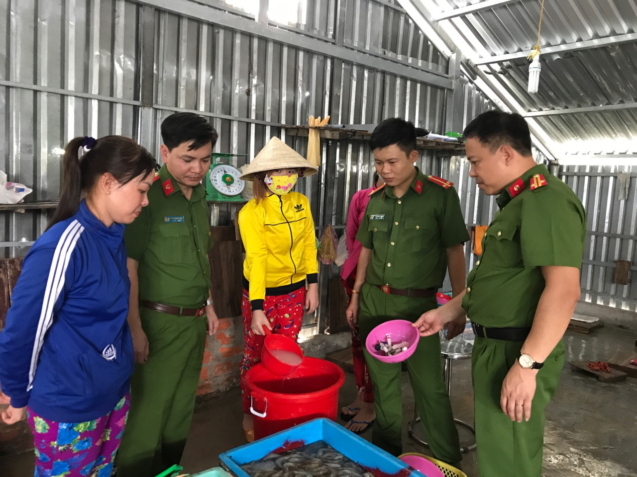 Tôm tạp chất tung hoành cuối năm