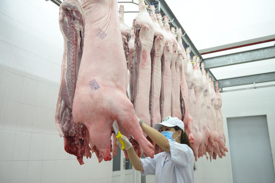 Thị trường Tết có thêm thịt heo thảo mộc Sagri