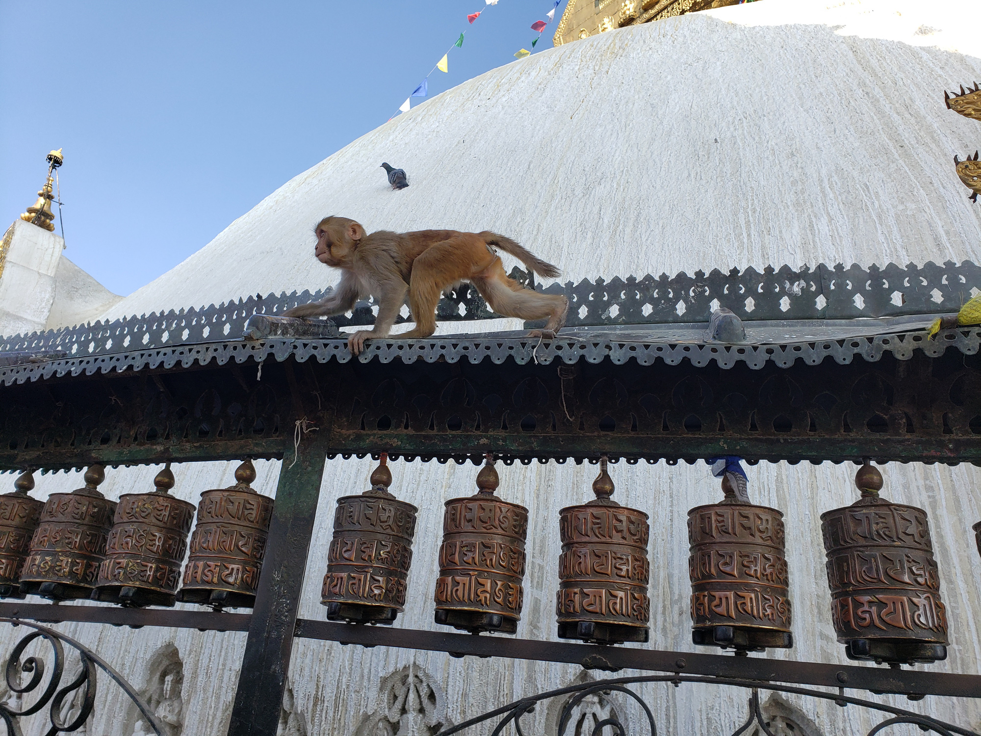 Cuộc sống b&igrave;nh lặng đến bất ngờ ở Nepal - Ảnh 5.