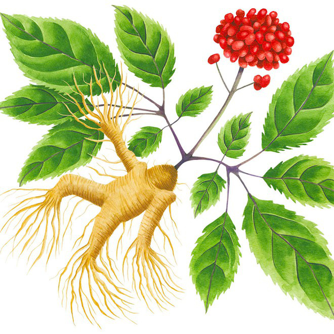 Mỹ nh&acirc;n thời xưa thường l&agrave;m g&igrave; để giữ nhan sắc trẻ trung? - Ảnh 2.