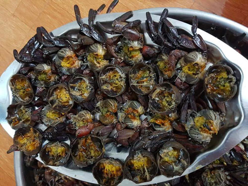 Mật ong và ba khía lên ngôi - Ảnh 2.
