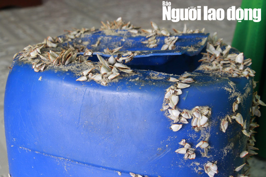 Tiếp tục ph&aacute;t hiện can nhựa chứa 21 g&oacute;i nghi ma t&uacute;y dạt biển Thừa Thi&ecirc;n - Huế - Ảnh 2.