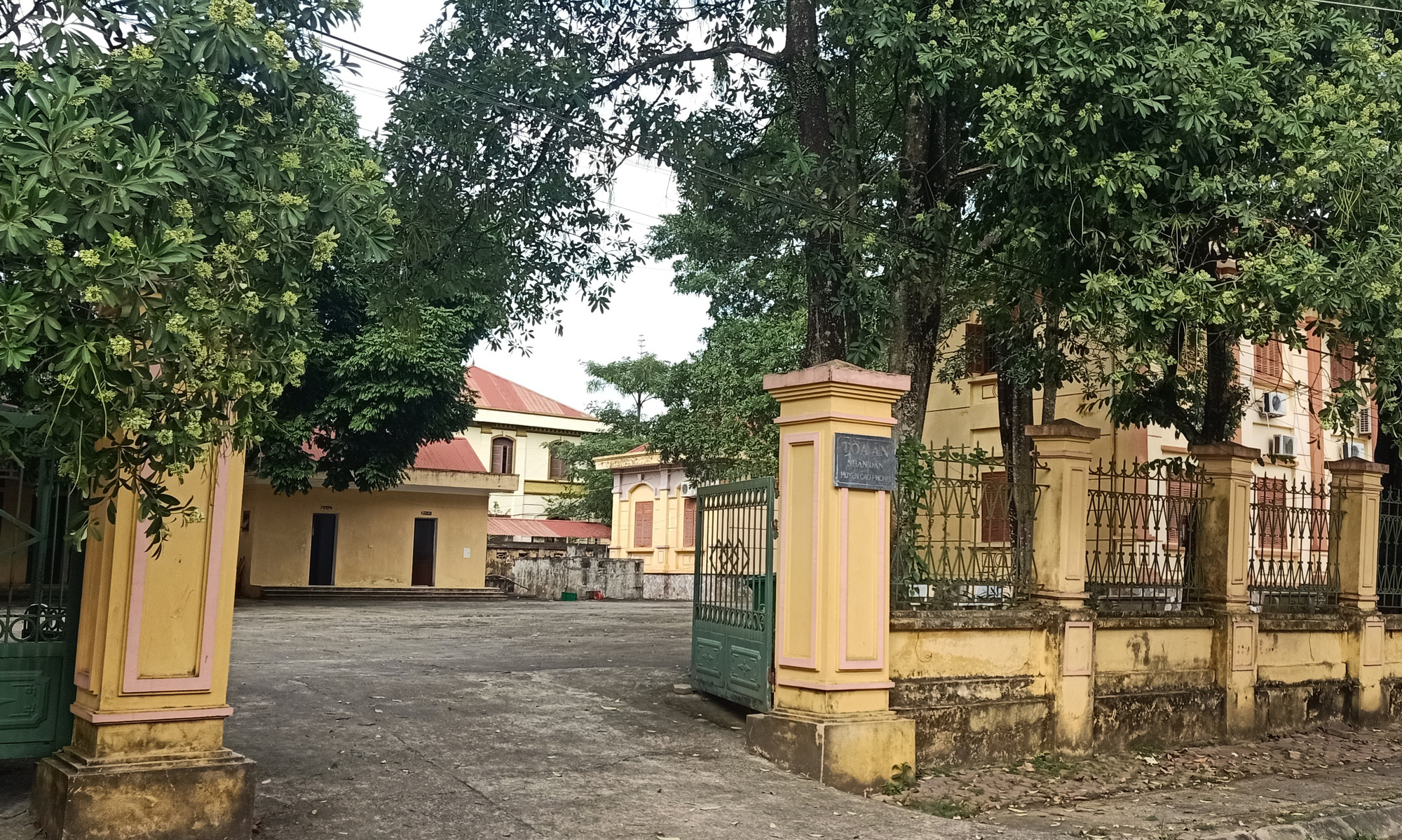 Chánh văn phòng TAND huyện bị truy nã 26 năm vì lý do gì?