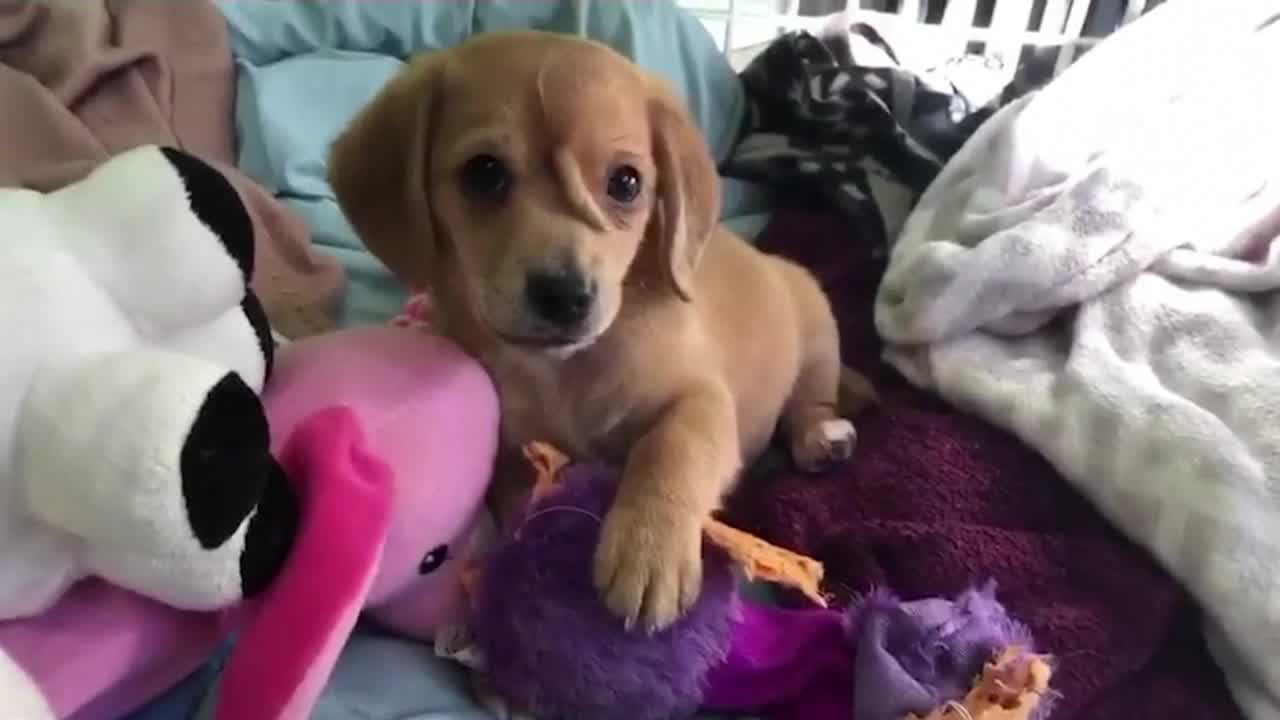Vừa đọc tin, vừa ngơ ngác hỏi "Có thật không?"