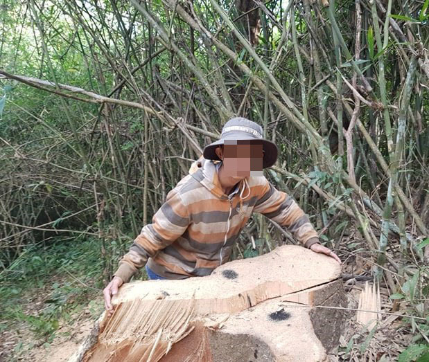 Một vụ ph&aacute; rừng, sở b&aacute;o 3,5m3, hạt n&oacute;i 28m3, c&ocirc;ng an x&aacute;c định 41m3 ! - Ảnh 7.
