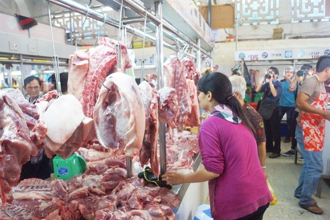 Giá heo tăng nhưng Đồng Tháp vẫn phải “xử” trường hợp cố ý tái đàn