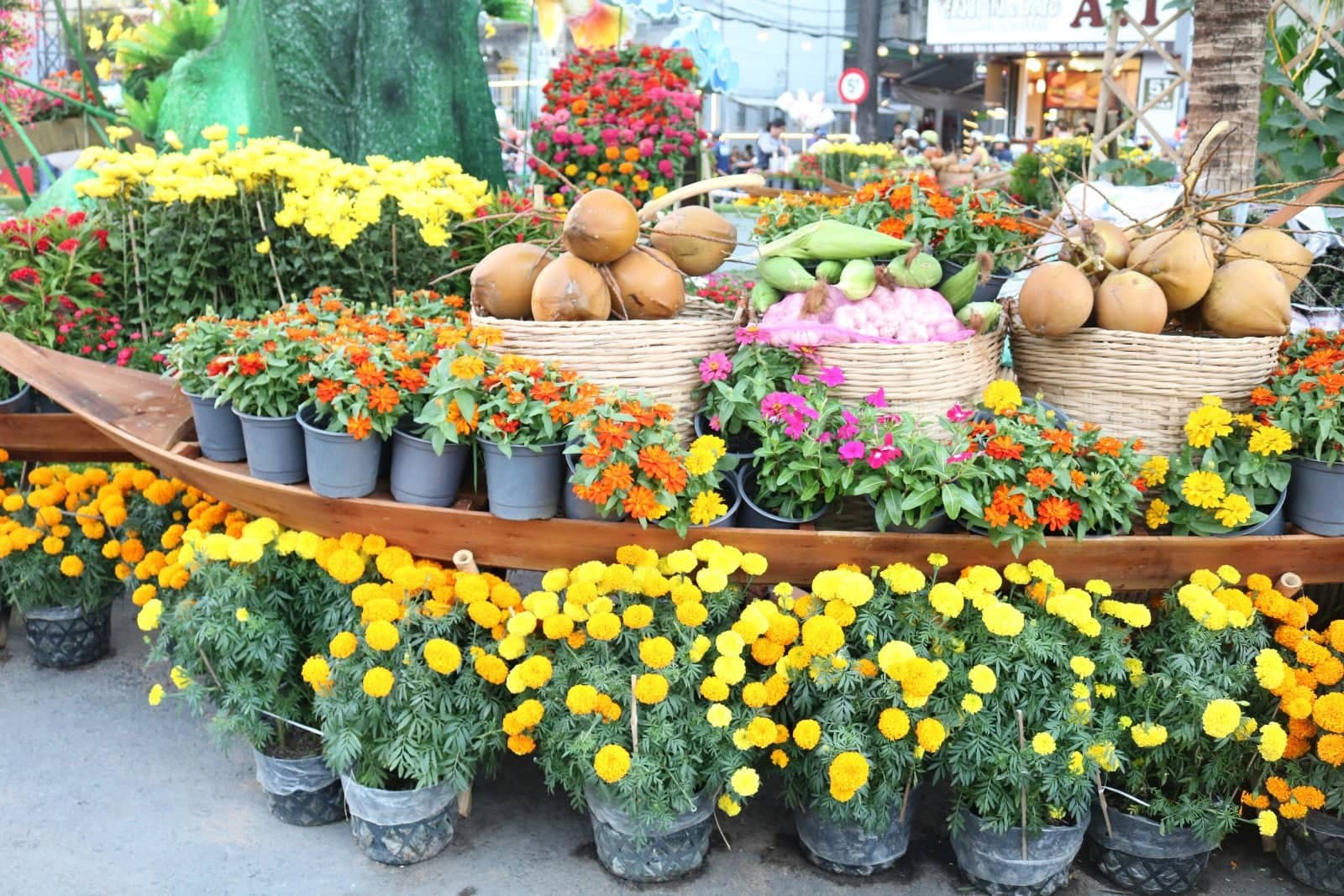 Đường hoa nghệ thuật Cần Thơ rực rỡ khi được lắp 80.000 chậu hoa tươi - Ảnh 3.