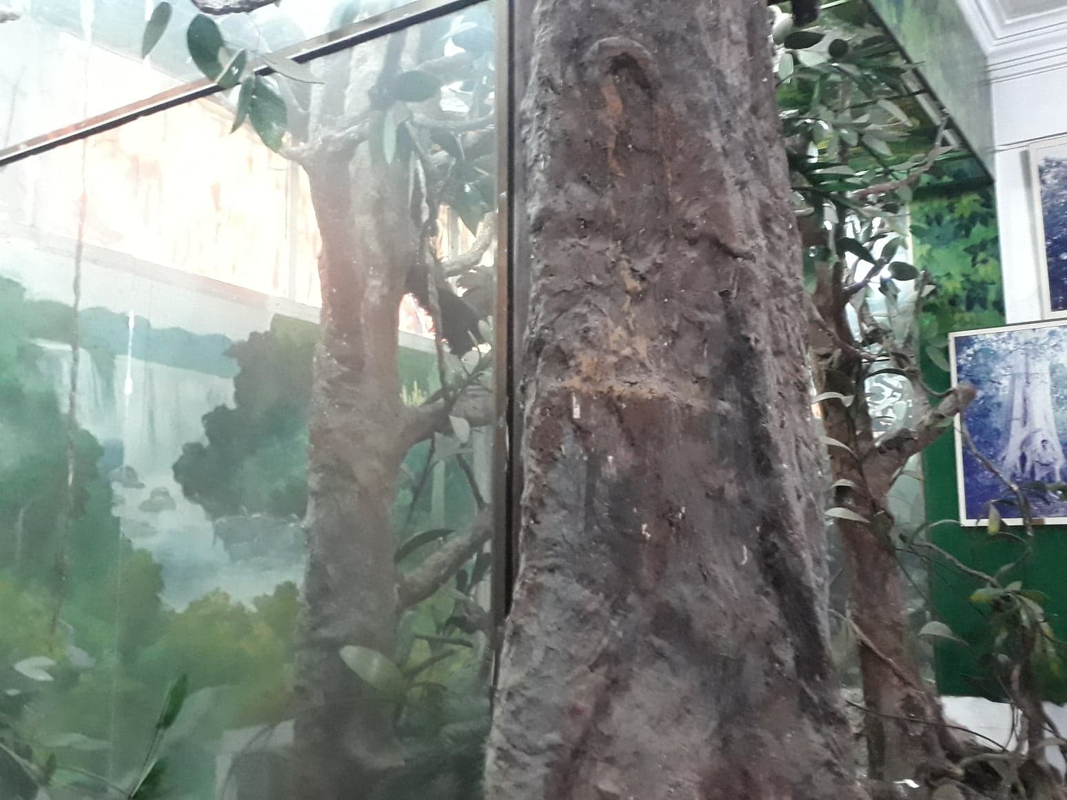 Ngộ nghĩnh bộ sưu tập c&aacute;c lo&agrave;i mu&ocirc;ng th&uacute; ở bảo t&agrave;ng Đồng Nai - Ảnh 8.