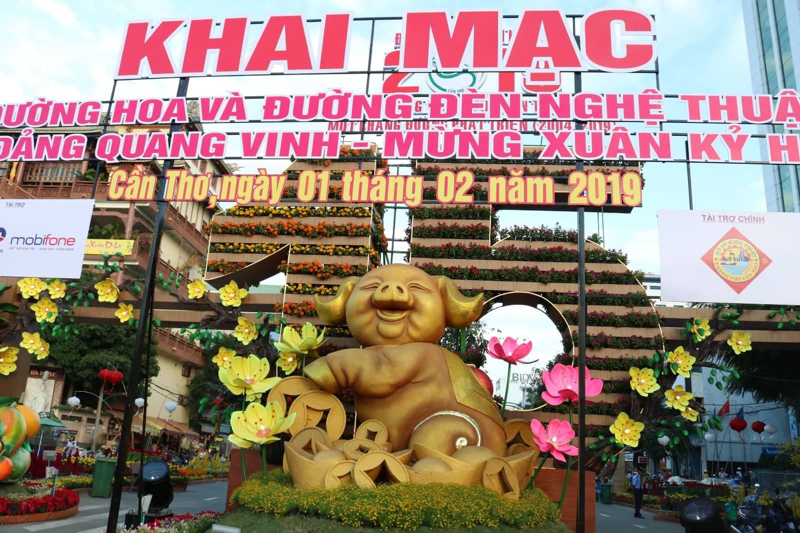 Đường hoa nghệ thuật Cần Thơ rực rỡ khi được lắp 80.000 chậu hoa tươi - Ảnh 1.