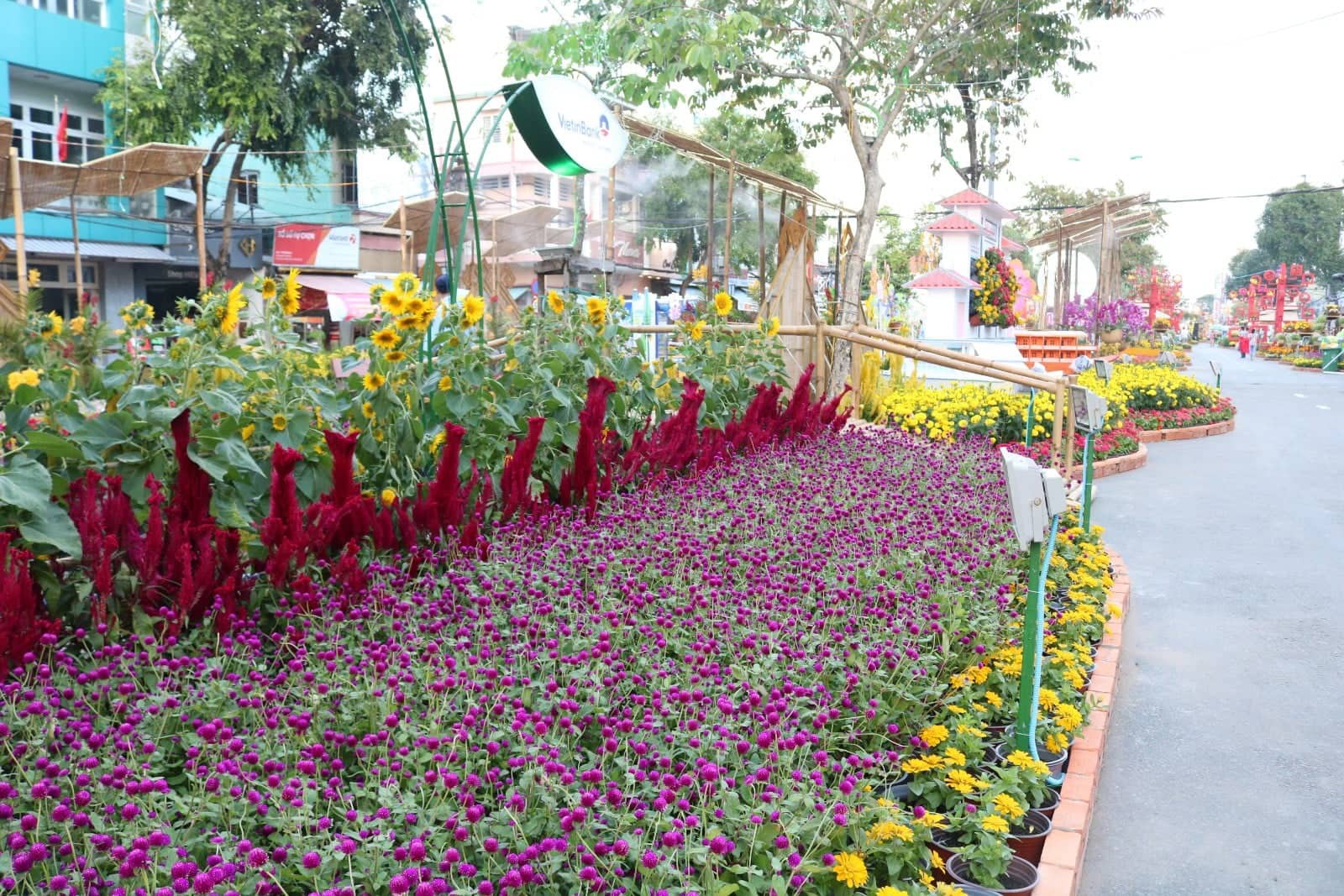 Đường hoa nghệ thuật Cần Thơ rực rỡ khi được lắp 80.000 chậu hoa tươi - Ảnh 6.