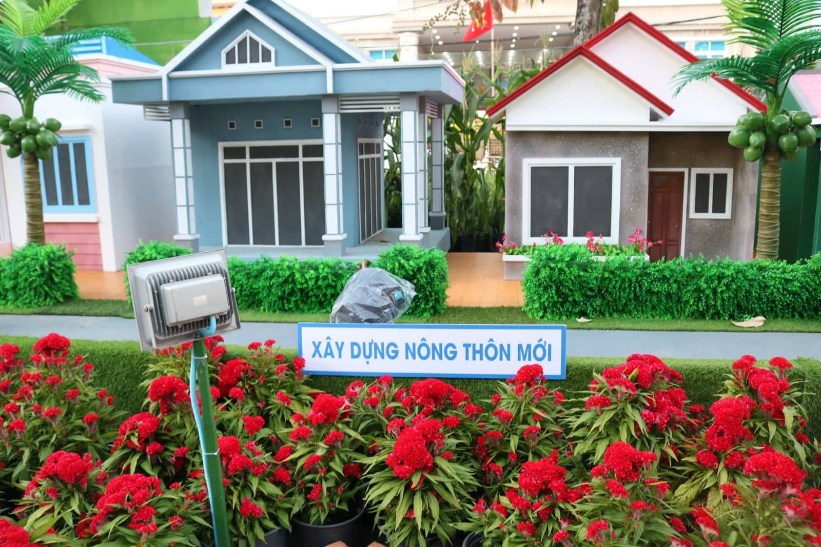 Đường hoa nghệ thuật Cần Thơ rực rỡ khi được lắp 80.000 chậu hoa tươi - Ảnh 18.