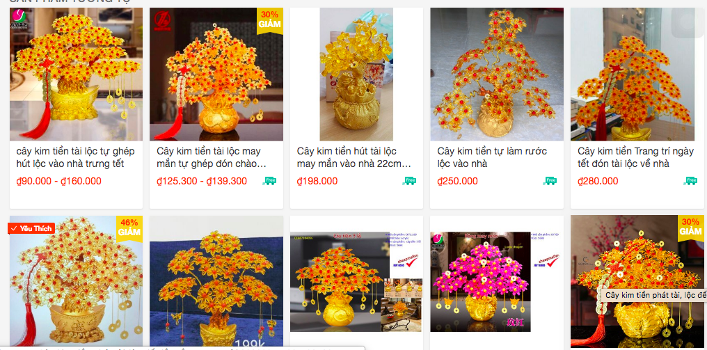 Rộ “mốt” chơi cây phong thủy đón Tết - Ảnh 6.