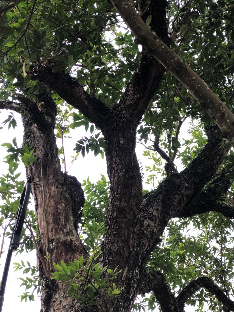 Ngắm vẻ đẹp huyền b&iacute;, cổ k&iacute;nh của ng&ocirc;i ch&ugrave;a ng&agrave;n tuổi Bổ Đ&agrave; - Ảnh 9.
