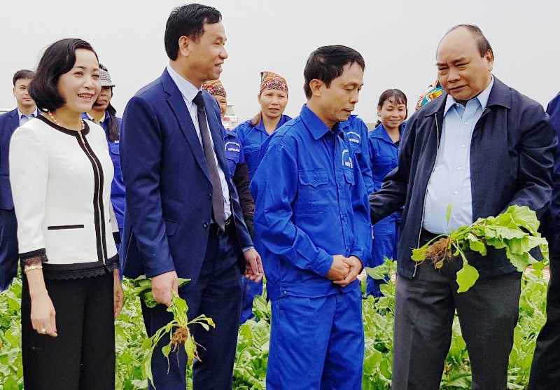 Thủ tướng: “Nông nghiệp, nông dân và nông thôn là chủ trương lớn”