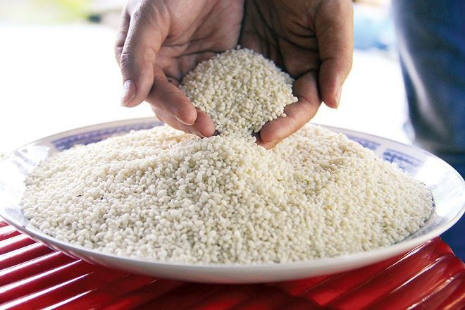 Lạ l&ugrave;ng loại nếp đắng ở Quảng Nam - Ảnh 1.