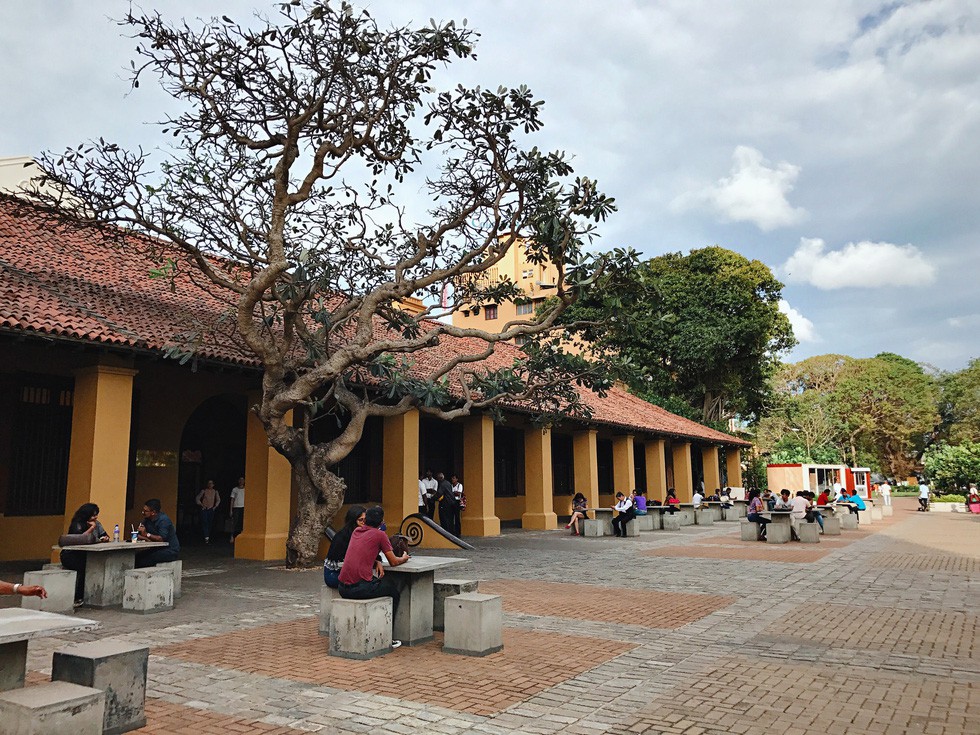 10 ng&agrave;y kh&ocirc;ng thể n&agrave;o qu&ecirc;n Sri Lanka - Ảnh 2.