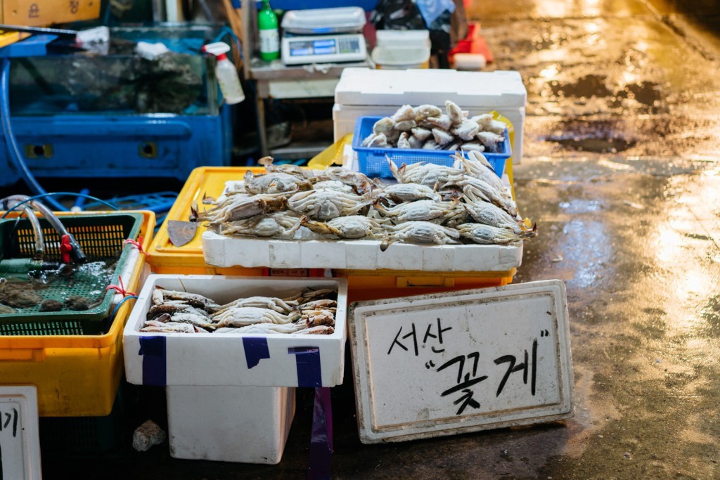Kh&aacute;m ph&aacute; khu chợ hải sản lớn nhất Seoul - Ảnh 5.