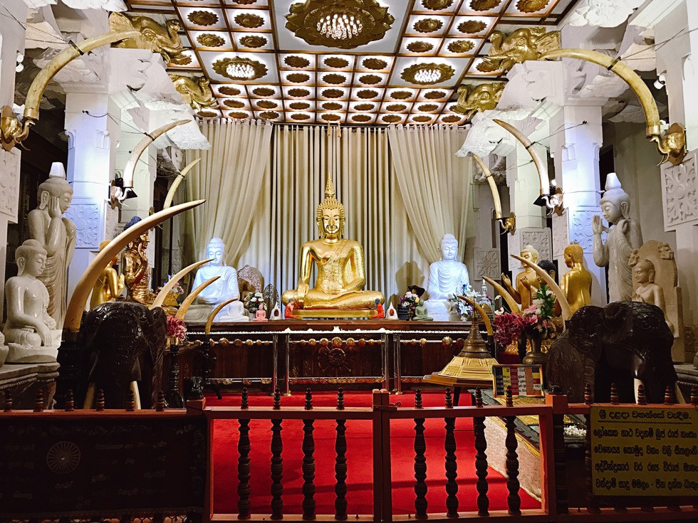 10 ng&agrave;y kh&ocirc;ng thể n&agrave;o qu&ecirc;n Sri Lanka - Ảnh 7.