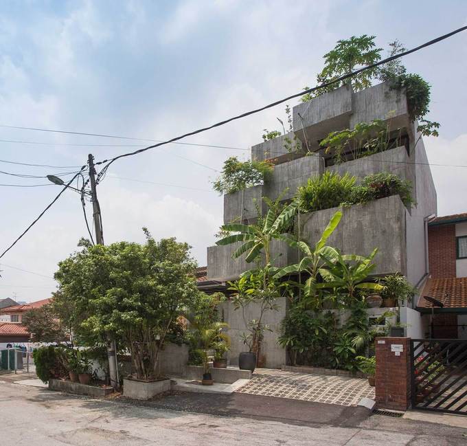 Ng&ocirc;i nh&agrave; như rừng nhiệt đới với hơn 40 loại c&acirc;y - Ảnh 2.