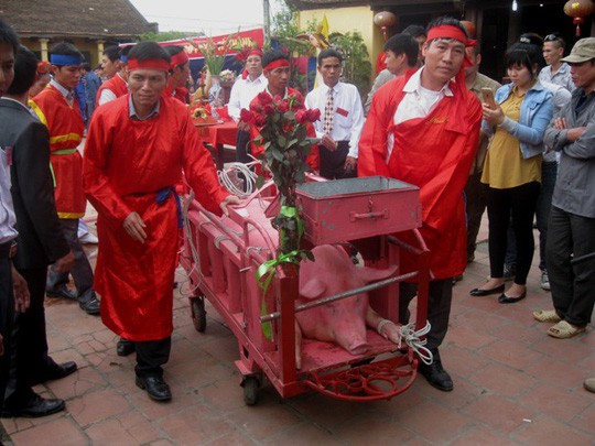 Nên dẹp lễ hội bạo lực!: Tạo ra được thì bỏ được