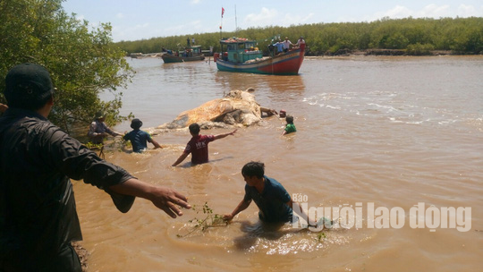 Xẻ thịt c&aacute; voi &ldquo;khủng&rdquo; 10 tấn đem ch&ocirc;n, xương đem v&agrave;o miếu thờ - Ảnh 1.