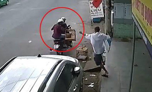 Trộm chim chào mào, gã đàn ông bị truy tố